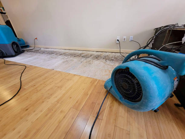 Reliable Basement Flood Cleanup contractor in Temple, NH by Hirex Water Damage