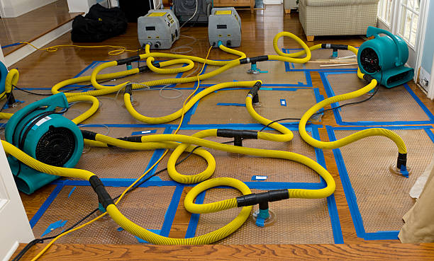 Professional Basement Flood Cleanup technician working in Temple, NH